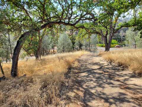 16342 Stagecoach Rd., Rancho Tehama, CA 96021