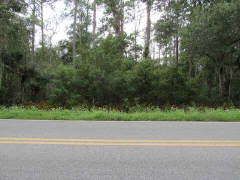 0 Jim Bryant Rd, East Palatka, FL 32131