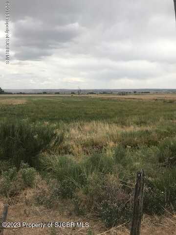 Tract N3 ROAD 1274, La Plata, NM 87418