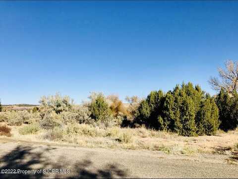 Lot 60 ROAD 3632, Aztec, NM 87410