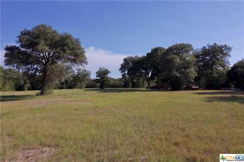 1068 County Road 360, Shiner, TX 77984