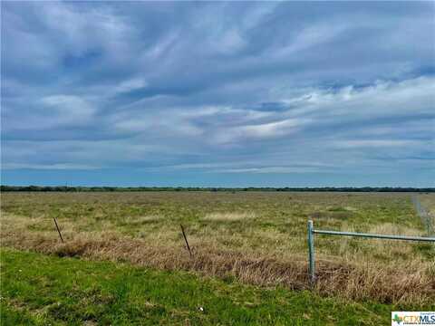 1127 County Road 124, Edna, TX 77957