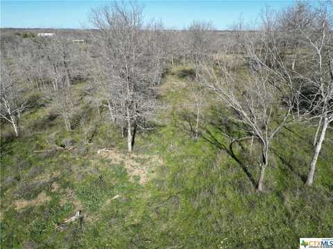 1633 Boggy Creek Road, Lockhart, TX 78644