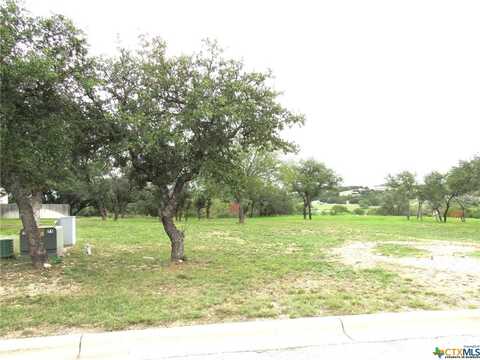 210 Dawna Len Drive, Burnet, TX 78611