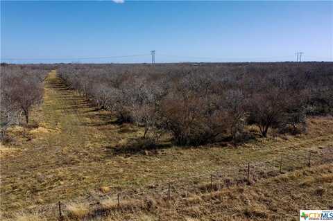 TBD Fannin - Tract A, Goliad, TX 77963