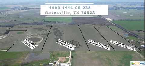 Lot 1 County Rd 238, Gatesville, TX 76528