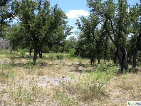 TBD PR 4218, Evant, TX 76525