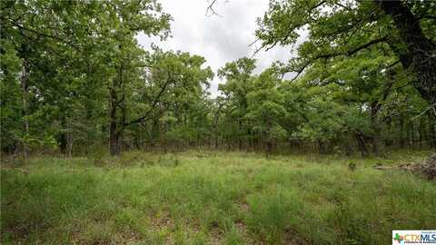 418 County Road 405, OTHER, TX 76518