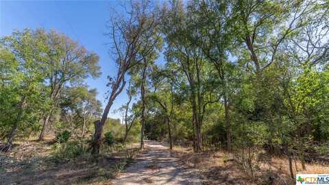 3597 Baker Road, Kingsbury, TX 78638