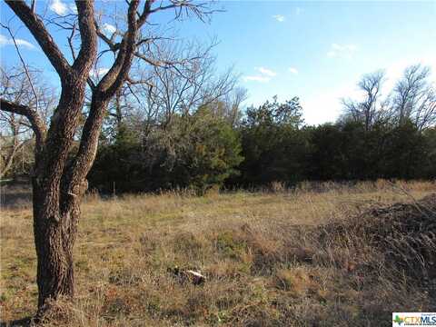 Lot 2, Block 6 CR 421, Evant, TX 76525