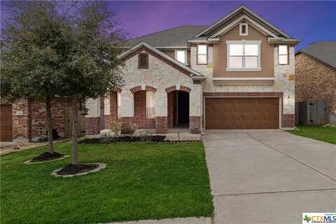 209 Sky Springs Pass, San Marcos, TX 78666