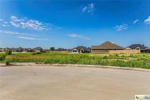 959 Gallant Fox Road, Hewitt, TX 76643