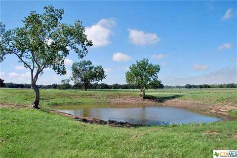 TBD County Road 201 & Hwy 90a, Hallettsville, TX 77964