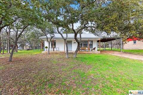 1317 Oakridge Drive, Blanco, TX 78606