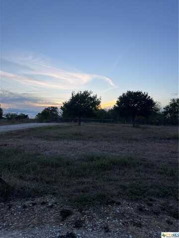 69 Horseshoe Drive, Gonzales, TX 78629