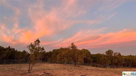 61 Reserve Way, Lampasas, TX 76550