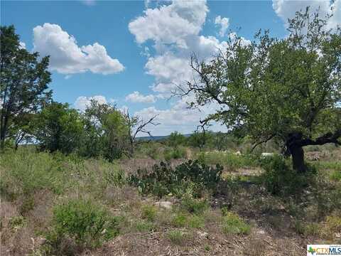 313 EAGLE BASIN Circle, Spicewood, TX 78669