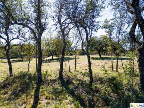 LOT 170 Heartleaf Drive, Lampasas, TX 76550