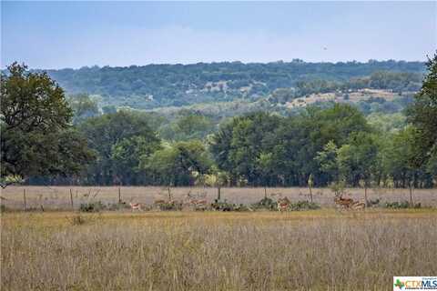 Lot 48 Cattle Trail, Kempner, TX 76539