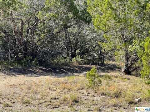 TBD Red Corral Ranch Road, Wimberley, TX 78676