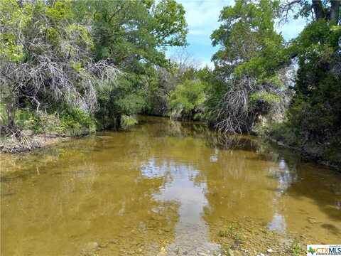 Tract 7 CR 102, Purmela, TX 76566