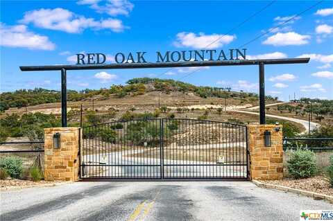 TBD E Twisted Oak Trail, Blanco, TX 78606