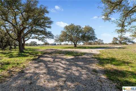 Lot 222 Blackbuck Ridge Drive, Lampasas, TX 76550