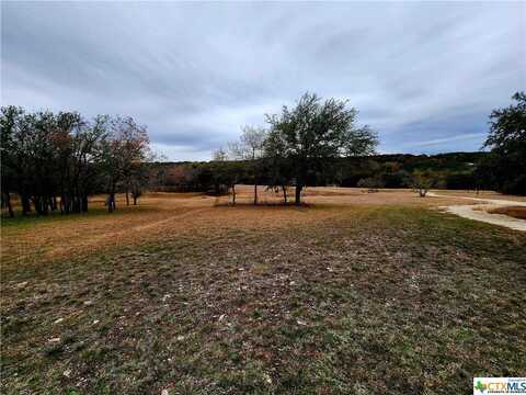 115 Spotted Fawn Drive, Gatesville, TX 76528