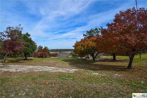 4502 Lago Vista Drive, Belton, TX 76513