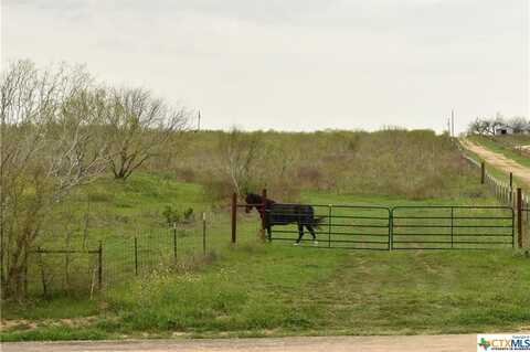 000 Anderson Lane, Red Rock, TX 78662