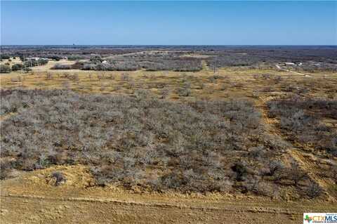 TBD Fannin - Tract B, Goliad, TX 77963