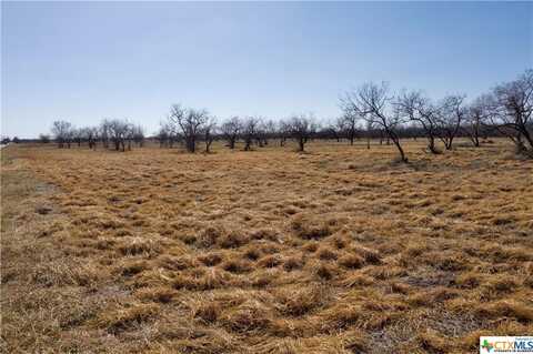 TBD McCampbell - Tract D, Goliad, TX 77963