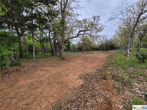 160 Arbor Hill Way, Cedar Creek, TX 78612