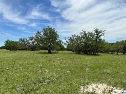 Tract 58C-6 Bryce Trail, Briggs, TX 78608