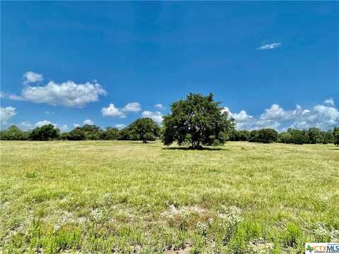 0 Mustang Valley Drive, Victoria, TX 77905