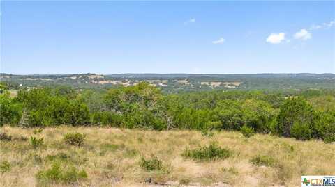 Tract 21 Ranch Road 1623, Blanco, TX 78671