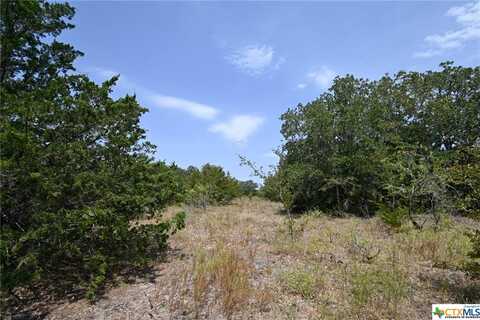 1345 1-Davis Road, OTHER, TX 78949