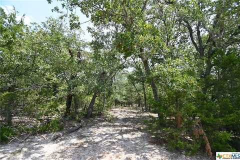 1345 4-Davis Road, OTHER, TX 78949