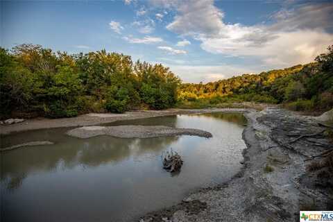 124 Sea Smoke Cove, Liberty Hill, TX 78642