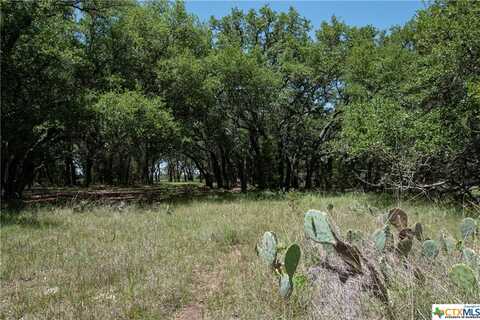 TBD Lot 135 Shin Oak Drive, Lampasas, TX 76550