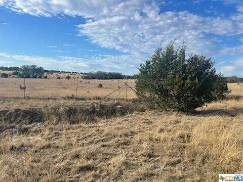 #175 Cross Timber Ranch, Lampasas, TX 76550