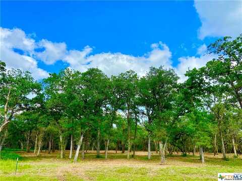 208 Post Oak Road, Inez, TX 77968