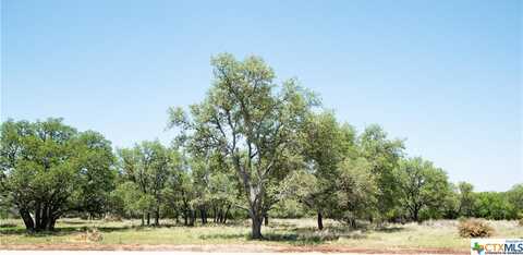 TBD Lot 82 Shin Oak Drive, Lampasas, TX 76550