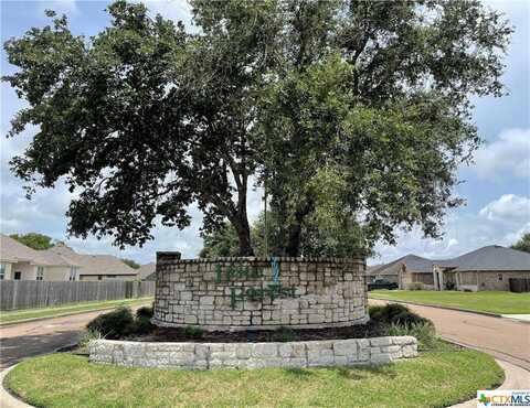 102 Auburn Hill, Victoria, TX 77904