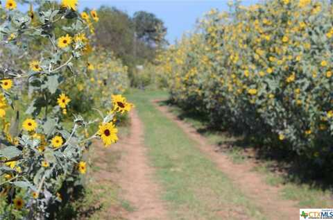 Lot 14 Wisteria Lane, Smiley, TX 78159