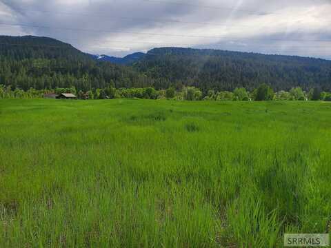 Tbd Raven Road, IRWIN, ID 83428