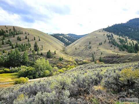 Tbd Agency Creek Road, TENDOY, ID 83468