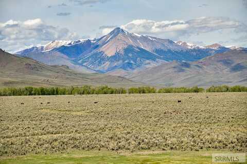 Tbd Antelope Creek Road, MOORE, ID 83255