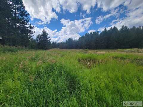 2891 Swan Avenue, ISLAND PARK, ID 83429