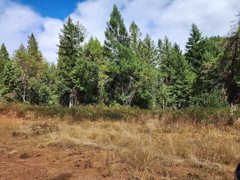 246 Golden Creek Court, Wolf Creek, OR 97497